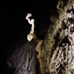 Schrattenhöhle (M15): Exzentriker